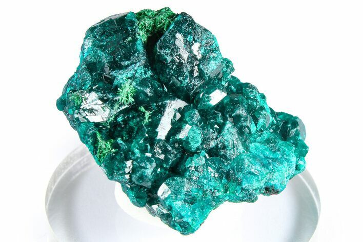 Emerald-Green Dioptase Crystal Cluster w/ Malachite - DR Congo #379398